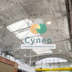 Dagobaire actualites cyneo